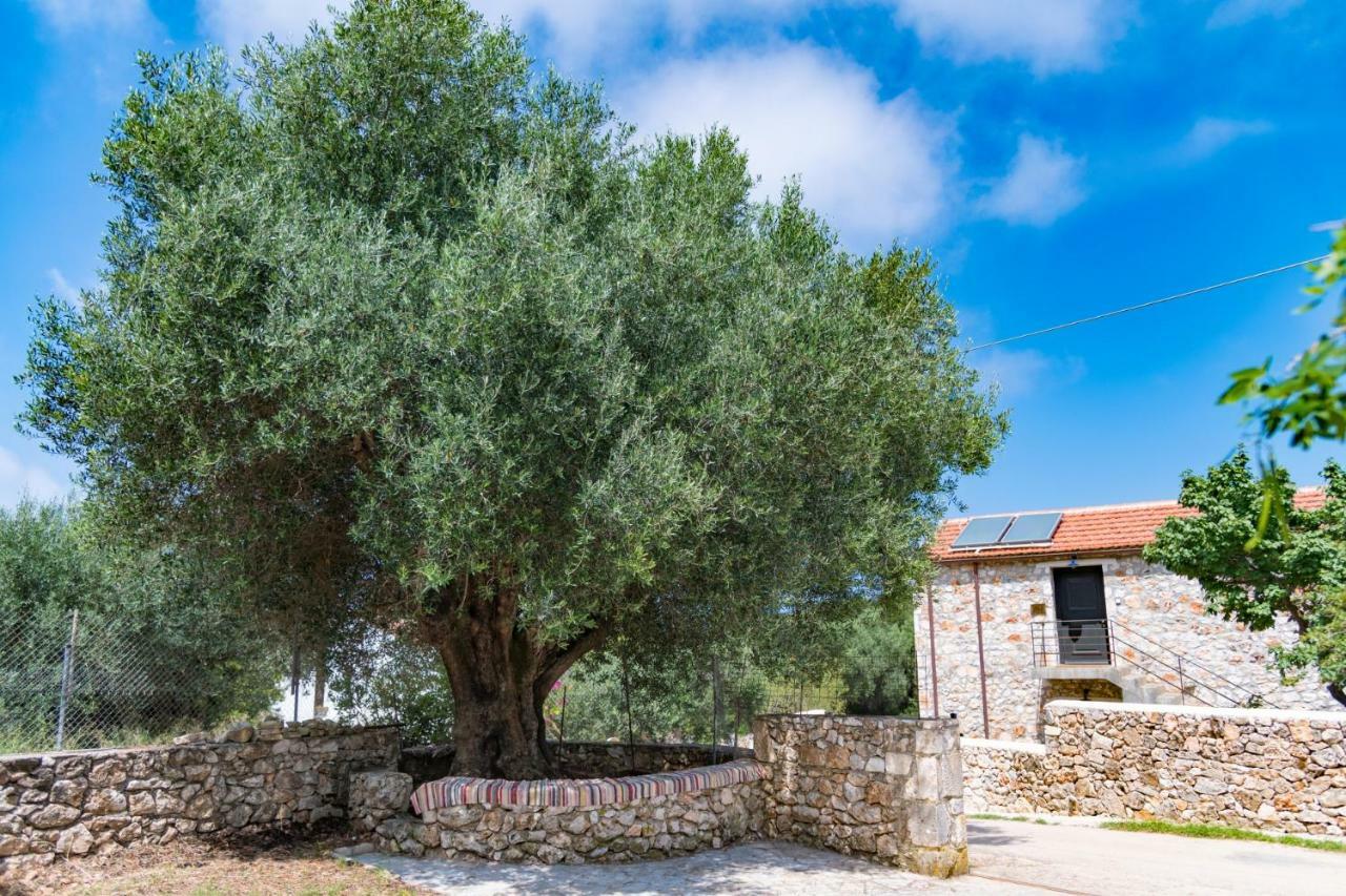 Private Villa Demetra 1768 With Pool - Close To Fiskardo Exteriér fotografie